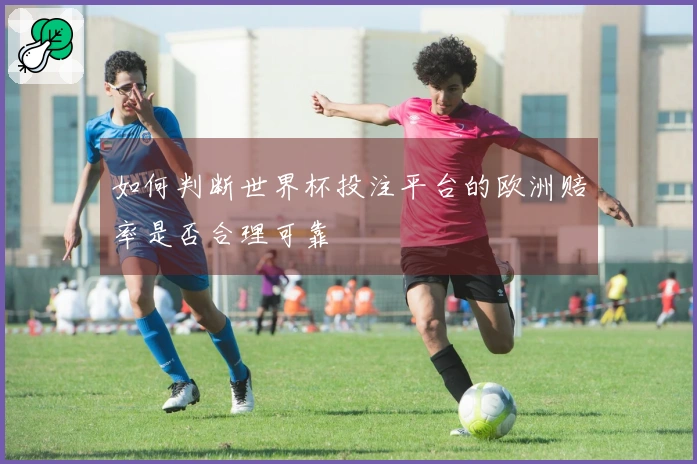 如何判断世界杯投注平台的欧洲赔率是否合理可靠