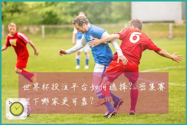 世界杯投注平台如何选择？密集赛程下哪家更可靠？