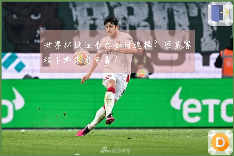 世界杯投注平台如何选择？密集赛程下哪家更可靠？